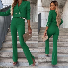 Дамски комплект сако и панталон 6766 зелен